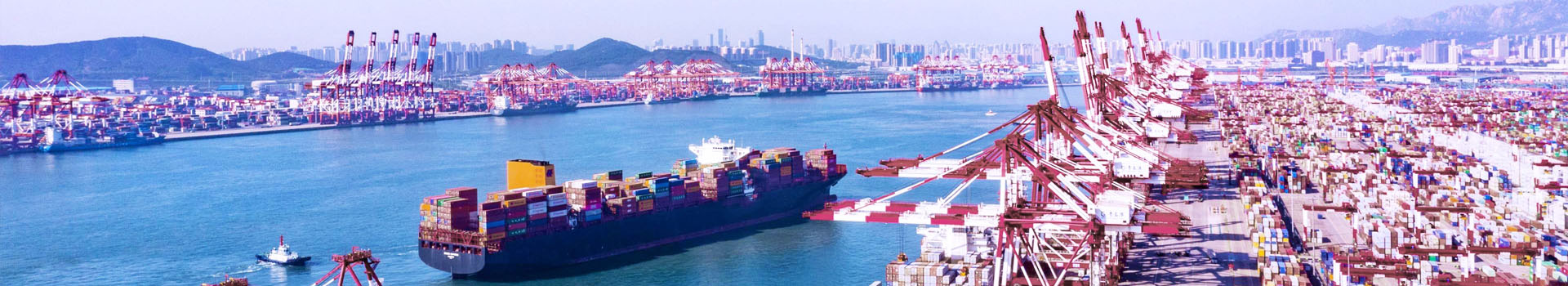 榮譽資質-辰力集團